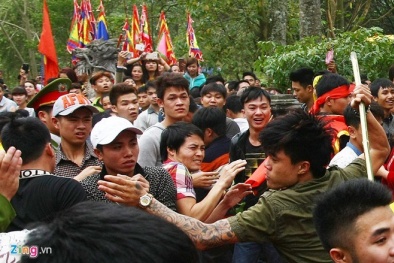 'Tôi thấy người Việt ngày càng hung hăng'
