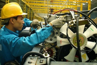 CSM 2000 là gì và lợi ích áp dụng