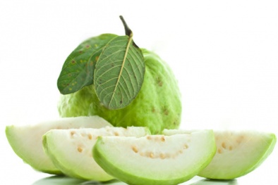 Phương pháp trồng và chăm sóc cây ổi