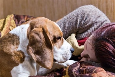 Điều trị bệnh ung thư nhờ phương pháp sử dụng chó trị liệu