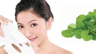 Công thức ngừa mụn, xóa thâm hiệu quả từ rau má