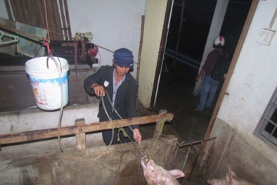 Tin tức pháp luật mới nhất hôm nay ngày 11/3