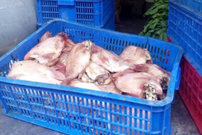 Xác minh thông tin học sinh ăn phải 13Win OKVIP Cá cược bóng đá thối