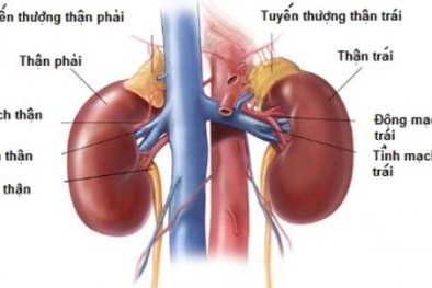 Bí quyết chăm sóc thận luôn khỏe mạnh