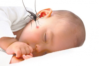 Mẹo đuổi muỗi tự nhiên an toàn không dùng hóa chất