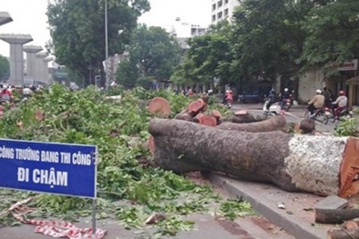 Đọc báo hôm nay: Những tin tức mới cập nhật  ngày 18/03/2015