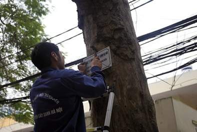 Đọc báo hôm nay: Những tin tức mới cập nhật ngày 20/03/2015 