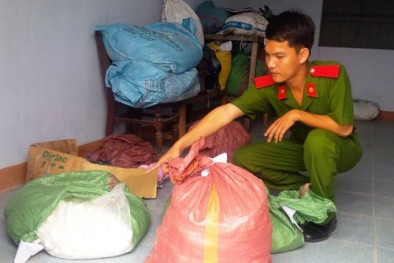 Tin tức pháp luật mới nhất 24h hôm nay ngày 20/3