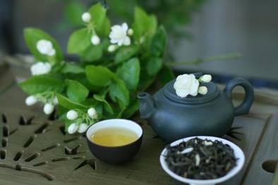 Cách chăm sóc cây hoa nhài trắng tỏa hương