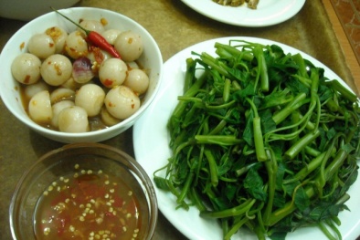 Cách trồng rau muống tươi ngon cho cả Đăng ký và nhận 60K 24 bao lì xì miễn phí mỗi ngày