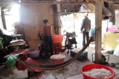 Phát hiện hơn hàng trăm kg da heo 'bẩn' 