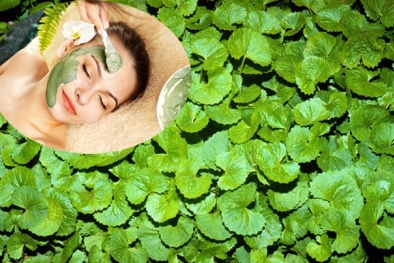 Công thức làm mờ sẹo từ rau má