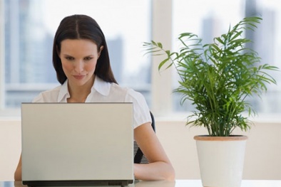 Yếu tố tự nhiên làm tăng năng suất làm việc văn phòng