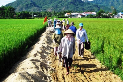 Triển khai Chương trình mục tiêu quốc gia giai đoạn 2016-2020