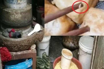 Kinh hoàng giòi bò lổm ngổm trong đậu phụ