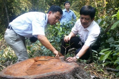 Đọc báo hôm nay: Những tin tức mới cập nhật 24h ngày 13/4/2015