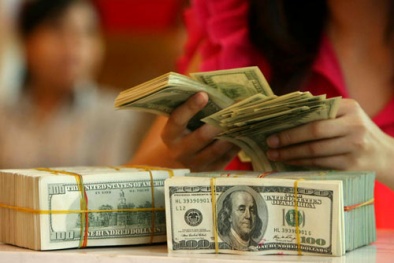 Tỷ giá USD hôm nay ngày 14/04 có dấu hiệu ổn định