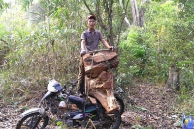 Thực hư chuyện kiểm lâm 'làm luật' 2 triệu 1 tuần với lâm tặc