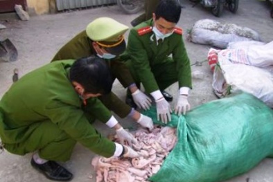 Thanh Hóa: Bắt hơn 1 tấn bì lợn thối trên ô tô khách