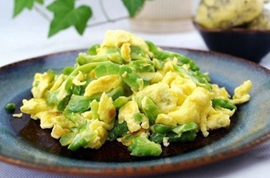 Phương pháp trồng mướp đắng nấu canh giải nhiệt mùa hè