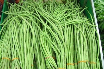 Kỹ thuật trồng cây đậu đũa an toàn cho hộ Đăng ký và nhận 60K 24 bao lì xì miễn phí mỗi ngày 