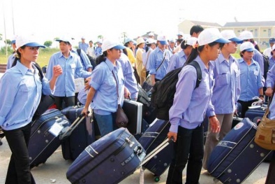 Tin vui mới cho người xuất khẩu 13Win18 cá cược thể thao sang Hàn Quốc