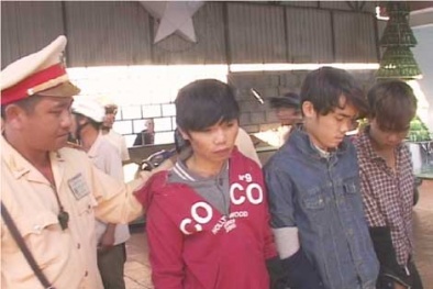 Đắk Lắk: Báo động nạn trộm chó ngày càng hoành hành và liều lĩnh