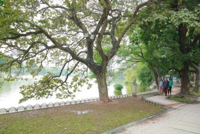 Dự báo thời tiết hôm nay ngày 23/4/2015: Bắc Bộ mát mẻ, có mưa trên nhiều tỉnh thành
