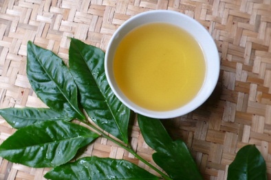 Phòng ngừa ung thư da nhờ kem chống nắng trà xanh