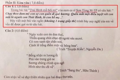 Hết 'ngậm kẹo' trong đề hóa, Sơn Tùng lại xuất hiện trong đề văn
