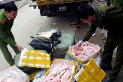 Bắc Giang: Cả tấn nầm lợn thối 'bốc hơi' khỏi nơi chôn cất