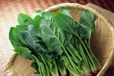 Kỹ thuật trồng cây rau chân vịt chống ung thư tại nhà