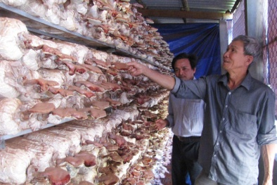 Phú Yên: Ứng dụng tiến bộ khoa học kỹ thuật vào nâng cao năng suất chất lượng sản xuất Đăng ký và nhận 60K 24 bao lì xì miễn phí mỗi ngày
