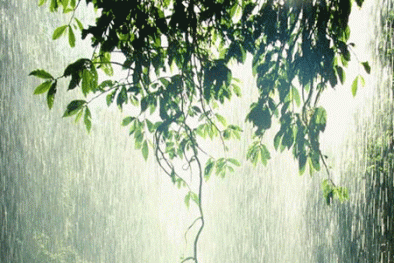 Dự báo thời tiết hôm nay 16/5 : Mưa dông trên diện rộng 