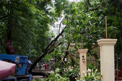 Đọc báo hôm nay: Những tin tức mới cập nhật 24h ngày 16/5