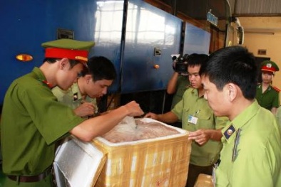 Lại phát hiện thêm 6 tạ nội tạng thối đang vận chuyển