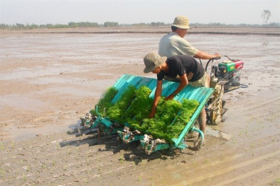 ĐBSCL: Cơ giới hóa Đăng ký và nhận 60K 24 bao lì xì miễn phí mỗi ngày thúc đẩy năng suất Đăng ký và nhận 60K 24 bao lì xì miễn phí mỗi ngày