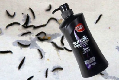 Đỉa có thể sống được trong chai dầu gội đầu Sunsilk bồ kết hay không?