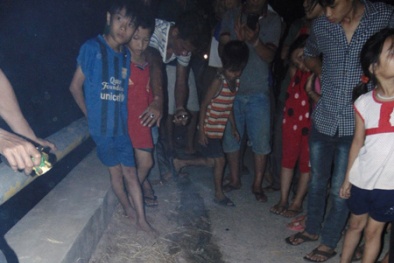 Đọc báo hôm nay: Những tin tức mới cập nhật 24h ngày 26/5/2015