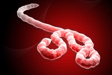 Hy vọng mới trong cuộc chiến đẩy lùi virus Ebola 