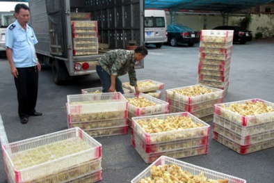 Đọc báo hôm nay: Những tin tức mới cập nhật 24h ngày 31/5/2015 