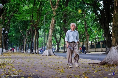 Những trường hợp nào được kéo dài tuổi nghỉ hưu?