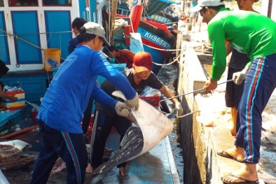 Đọc báo hôm nay: Những tin tức mới cập nhật ngày 3/6/2015