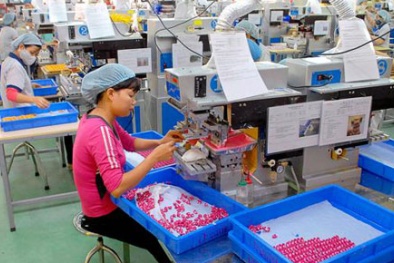 Hàn Quốc đề nghị được sa thải 13Win18 cá cược thể thao Việt Nam khai man năng lực