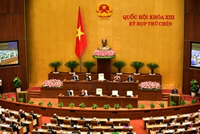 Cử tri đặt nhiều kỳ vọng vào 'tư lệnh' ngành Khoa học và 13Win OKVIP Đăng ký ngay