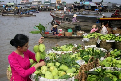 Bí quyết chọn mua xoài luôn tươi, ngon 