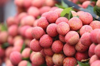 Trái vải Việt sang Pháp: 240.000 đồng/kg vẫn đắt hàng