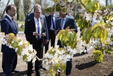 Những tin tức mới nhất về tình hình Ukraine ngày 17/6/2015