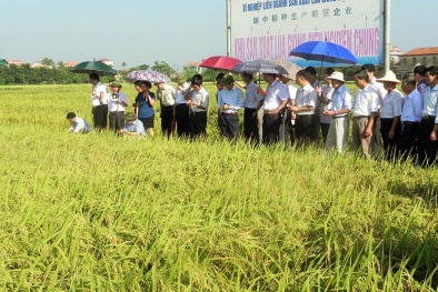 Quảng Ninh: Sản xuất tập trung gắn xây dựng thương hiệu sản phẩm Đăng ký và nhận 60K 24 bao lì xì miễn phí mỗi ngày