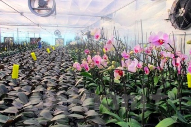 Quảng Ninh tập trung ứng dụng khoa học công nghệ trong Đăng ký và nhận 60K 24 bao lì xì miễn phí mỗi ngày